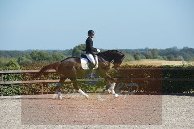 Blue Hors Dressuchampionat 2019 4års
Billeder fra stævnet
Nøgleord: evo darleen;lotte wiuff straarip