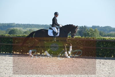 Blue Hors Dressuchampionat 2019 4års
Billeder fra stævnet
Nøgleord: evo darleen;lotte wiuff straarip