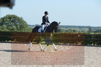 Blue Hors Dressuchampionat 2019 4års
Billeder fra stævnet
Nøgleord: sweetness;silje bakken