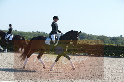 Blue Hors Dressuchampionat 2019 4års
Billeder fra stævnet
Nøgleord: sweetness;silje bakken