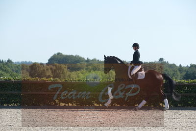 Blue Hors Dressuchampionat 2019 4års
Billeder fra stævnet
Nøgleord: evo darleen;lotte wiuff straarip