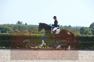 Blue Hors Dressuchampionat 2019 4års
Billeder fra stævnet
Nøgleord: evo darleen;lotte wiuff straarip