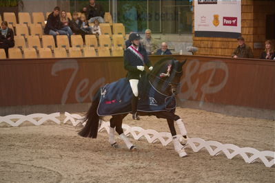 Dansk Rideforbunds Championats finaler 2019 dressur
Dansk Rideforbunds Championats finaler 2018
6 års
Nøgleord: andreas helgstrand;revolution;lap of honour