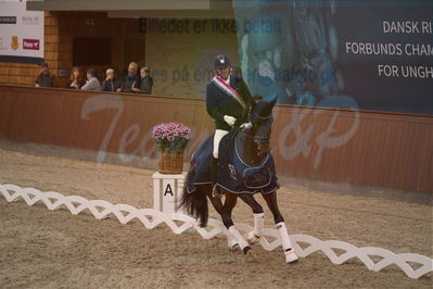 Dansk Rideforbunds Championats finaler 2019 dressur
Dansk Rideforbunds Championats finaler 2018
6 års
Nøgleord: andreas helgstrand;revolution;lap of honour