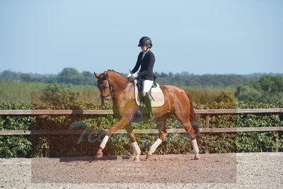 Blue Hors Dressuchampionat 2019 4års
Billeder fra stævnet
Nøgleord: lydy first m;amalie greve christensen