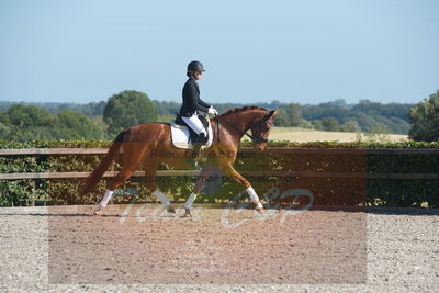 Blue Hors Dressuchampionat 2019 4års
Billeder fra stævnet
Nøgleord: lydy first m;amalie greve christensen