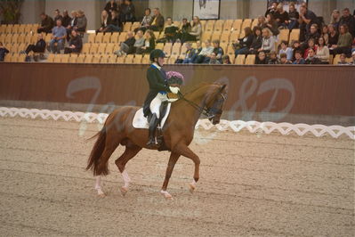 Dansk Rideforbunds Championats finaler 2019 dressur
Dansk Rideforbunds Championats finaler 2018
7 års
Nøgleord: blue hors zirrus;nanna skjoldborg merrald