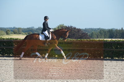 Blue Hors Dressuchampionat 2019 4års
Billeder fra stævnet
Nøgleord: lydy first m;amalie greve christensen