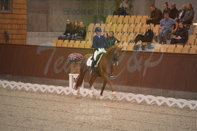 Dansk Rideforbunds Championats finaler 2019 dressur
Dansk Rideforbunds Championats finaler 2018
7 års
Nøgleord: blue hors zirrus;nanna skjoldborg merrald
