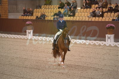 Dansk Rideforbunds Championats finaler 2019 dressur
Dansk Rideforbunds Championats finaler 2018
7 års
Nøgleord: blue hors zirrus;nanna skjoldborg merrald