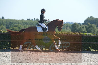 Blue Hors Dressuchampionat 2019 4års
Billeder fra stævnet
Nøgleord: lydy first m;amalie greve christensen