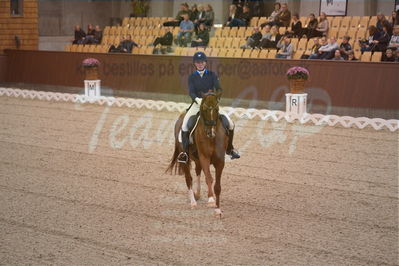 Dansk Rideforbunds Championats finaler 2019 dressur
Dansk Rideforbunds Championats finaler 2018
7 års
Nøgleord: blue hors zirrus;nanna skjoldborg merrald