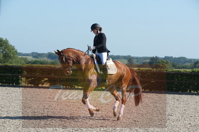 Blue Hors Dressuchampionat 2019 4års
Billeder fra stævnet
Nøgleord: lydy first m;amalie greve christensen