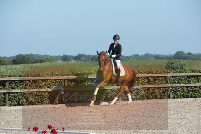 Blue Hors Dressuchampionat 2019 4års
Billeder fra stævnet
Nøgleord: lydy first m;amalie greve christensen