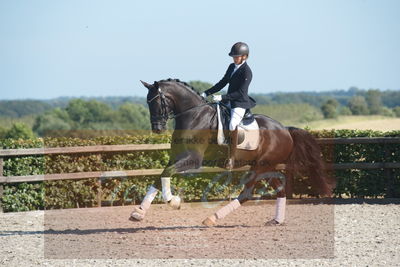 Blue Hors Dressuchampionat 2019 4års
Billeder fra stævnet
Nøgleord: vinstruplunds st ferro;emma roesdahl