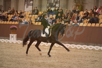 Dansk Rideforbunds Championats finaler 2019 dressur
Dansk Rideforbunds Championats finaler 2018
7 års
Nøgleord: titolas;susanne krohn