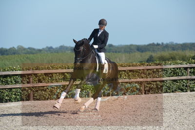 Blue Hors Dressuchampionat 2019 4års
Billeder fra stævnet
Nøgleord: vinstruplunds st ferro;emma roesdahl