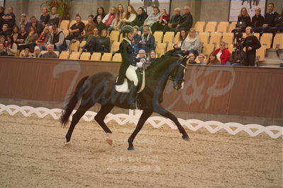 Dansk Rideforbunds Championats finaler 2019 dressur
Dansk Rideforbunds Championats finaler 2018
7 års
Nøgleord: titolas;susanne krohn