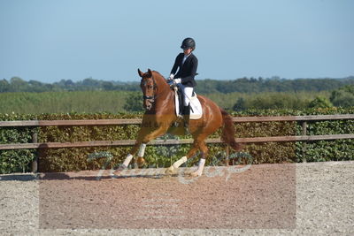 Blue Hors Dressuchampionat 2019 4års
Billeder fra stævnet
Nøgleord: lydy first m;amalie greve christensen