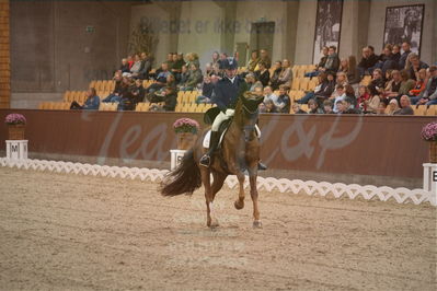 Dansk Rideforbunds Championats finaler 2019 dressur
Dansk Rideforbunds Championats finaler 2018
7 års
Nøgleord: d'avie;severo jurado lopez