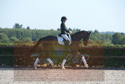 Blue Hors Dressuchampionat 2019 4års
Billeder fra stævnet
Nøgleord: grevens la creme;christine ropers