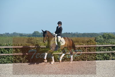 Blue Hors Dressuchampionat 2019 4års
Billeder fra stævnet
Nøgleord: grevens la creme;christine ropers