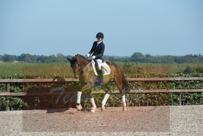 Blue Hors Dressuchampionat 2019 4års
Billeder fra stævnet
Nøgleord: grevens la creme;christine ropers