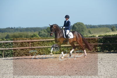 Blue Hors Dressuchampionat 2019 4års
Billeder fra stævnet
Nøgleord: egelund yurrell;mette rasmussen