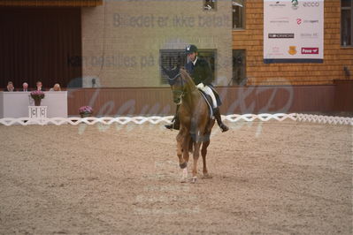 Dansk Rideforbunds Championats finaler 2019 dressur
Dansk Rideforbunds Championats finaler 2018
7 års
Nøgleord: d'avie;severo jurado lopez