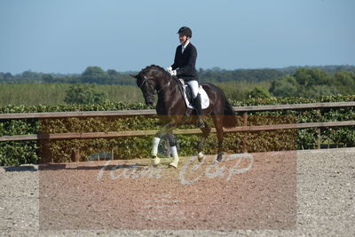 Blue Hors Dressuchampionat 2019 4års
Billeder fra stævnet
Nøgleord: nerthus afenris;steen steensen blicher