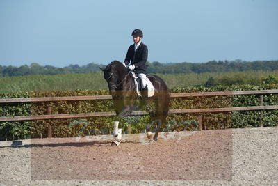 Blue Hors Dressuchampionat 2019 4års
Billeder fra stævnet
Nøgleord: nerthus afenris;steen steensen blicher