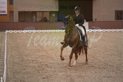 Dansk Rideforbunds Championats finaler 2019 dressur
Dansk Rideforbunds Championats finaler 2018
7 års
Nøgleord: d'avie;severo jurado lopez