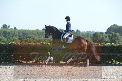 Blue Hors Dressuchampionat 2019 4års
Billeder fra stævnet
Nøgleord: egelund yurrell;mette rasmussen