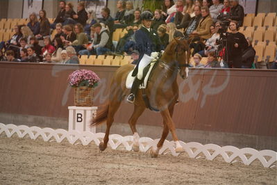 Dansk Rideforbunds Championats finaler 2019 dressur
Dansk Rideforbunds Championats finaler 2018
7 års
Nøgleord: vichy pax;joachim chr thomsen