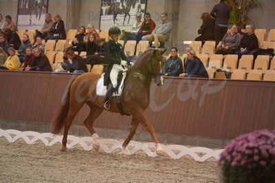 Dansk Rideforbunds Championats finaler 2019 dressur
Dansk Rideforbunds Championats finaler 2018
7 års
Nøgleord: vichy pax;joachim chr thomsen