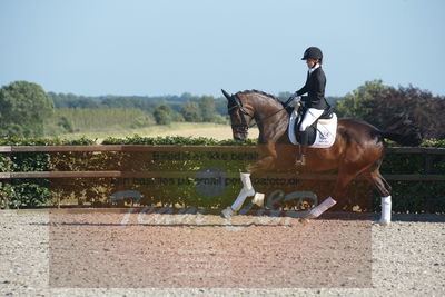 Blue Hors Dressuchampionat 2019 4års
Billeder fra stævnet
Nøgleord: grevens la creme;christine ropers