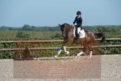 Blue Hors Dressuchampionat 2019 4års
Billeder fra stævnet
Nøgleord: grevens la creme;christine ropers