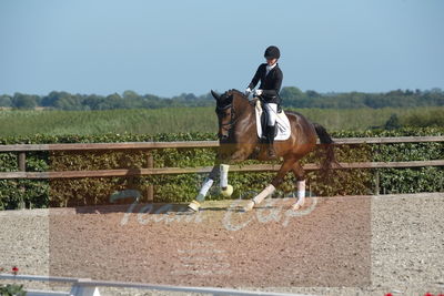 Blue Hors Dressuchampionat 2019 4års
Billeder fra stævnet
Nøgleord: grevens la creme;christine ropers