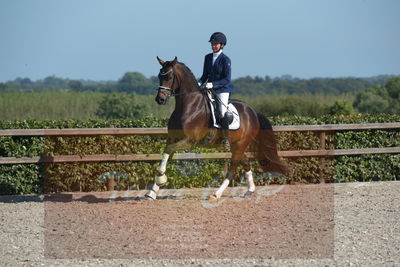 Blue Hors Dressuchampionat 2019 4års
Billeder fra stævnet
