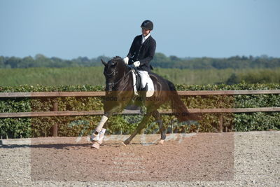 Blue Hors Dressuchampionat 2019 4års
Billeder fra stævnet
Nøgleord: nerthus afenris;steen steensen blicher