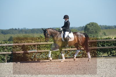 Blue Hors Dressuchampionat 2019 4års
Billeder fra stævnet
Nøgleord: grevens la creme;christine ropers