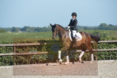 Blue Hors Dressuchampionat 2019 4års
Billeder fra stævnet
Nøgleord: grevens la creme;christine ropers