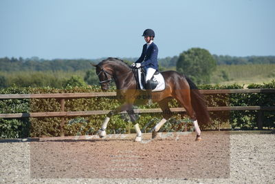 Blue Hors Dressuchampionat 2019 4års
Billeder fra stævnet
Nøgleord: egelund yurrell;mette rasmussen