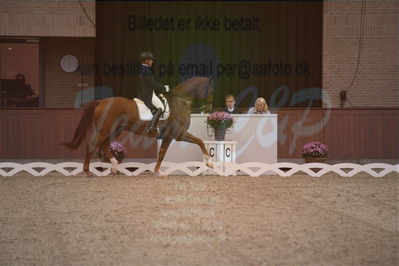 Dansk Rideforbunds Championats finaler 2019 dressur
Dansk Rideforbunds Championats finaler 2018
7 års
Nøgleord: vichy pax;joachim chr thomsen