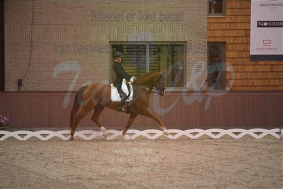 Dansk Rideforbunds Championats finaler 2019 dressur
Dansk Rideforbunds Championats finaler 2018
7 års
Nøgleord: vichy pax;joachim chr thomsen