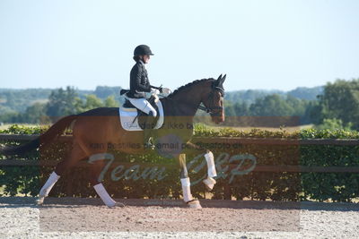 Blue Hors Dressuchampionat 2019 4års
Billeder fra stævnet
Nøgleord: grevens la creme;christine ropers