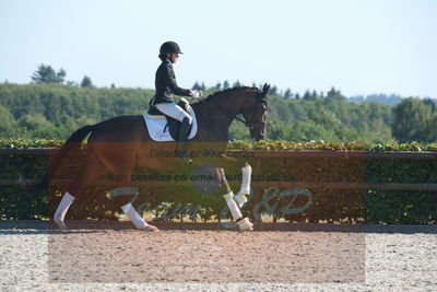 Blue Hors Dressuchampionat 2019 4års
Billeder fra stævnet
Nøgleord: grevens la creme;christine ropers