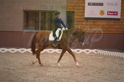 Dansk Rideforbunds Championats finaler 2019 dressur
Dansk Rideforbunds Championats finaler 2018
7 års
Nøgleord: vichy pax;joachim chr thomsen