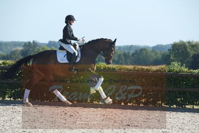 Blue Hors Dressuchampionat 2019 4års
Billeder fra stævnet
Nøgleord: grevens la creme;christine ropers