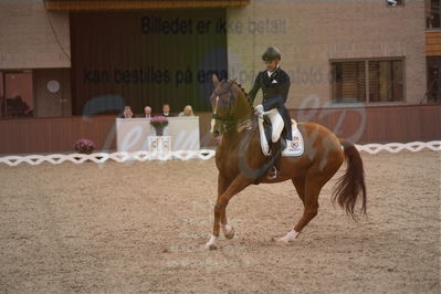 Dansk Rideforbunds Championats finaler 2019 dressur
Dansk Rideforbunds Championats finaler 2018
7 års
Nøgleord: vichy pax;joachim chr thomsen